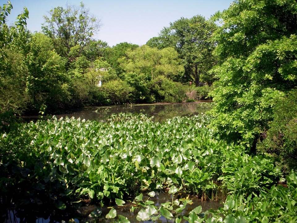 Newton Lake Park, NJ   1
