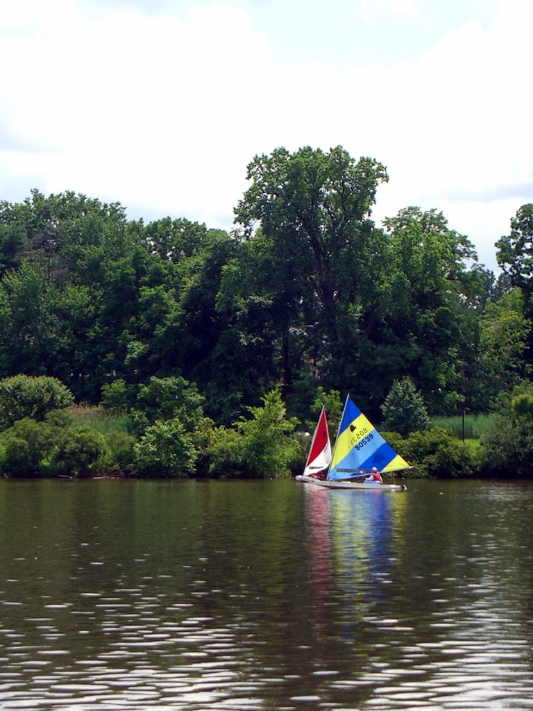 Little Sail Boat Race