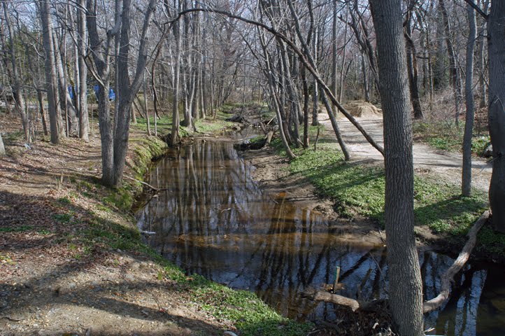 Newton Creek Above Cuthbert Ave.