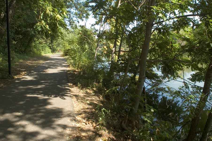 Newton Lake Trail