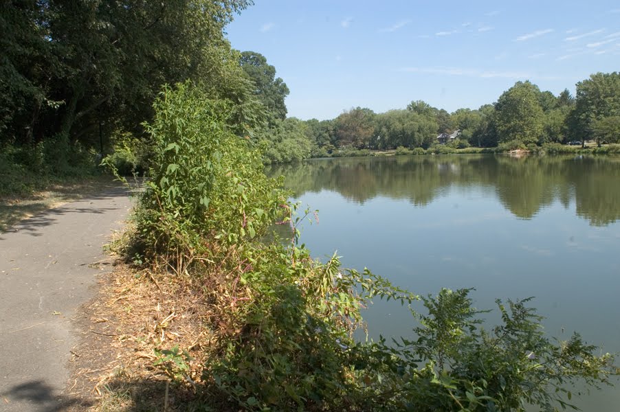 Newton Lake Trail