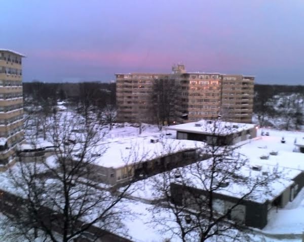 Heights of Collingswood