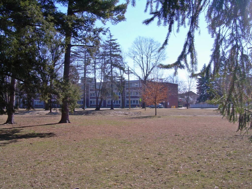 Knight Park
