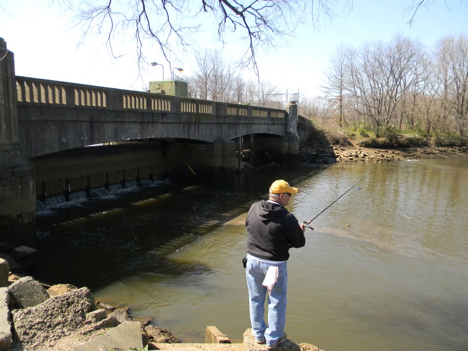Cooper River at Dam