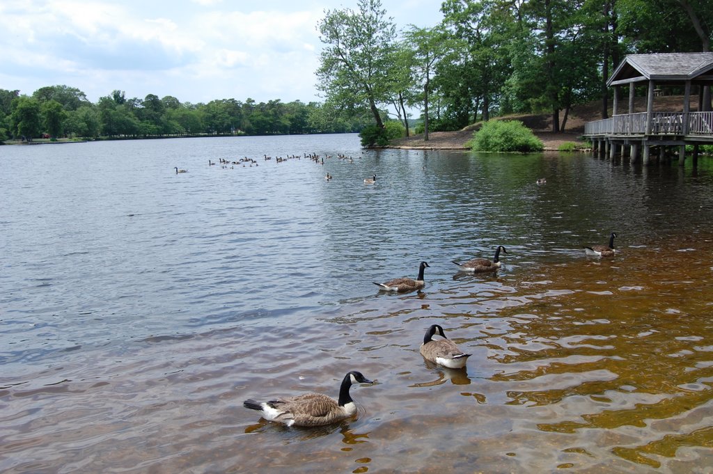 Lake Carasaljo