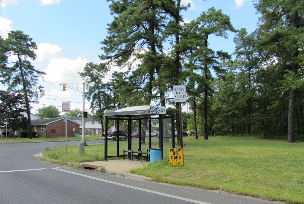 Bus Shelter