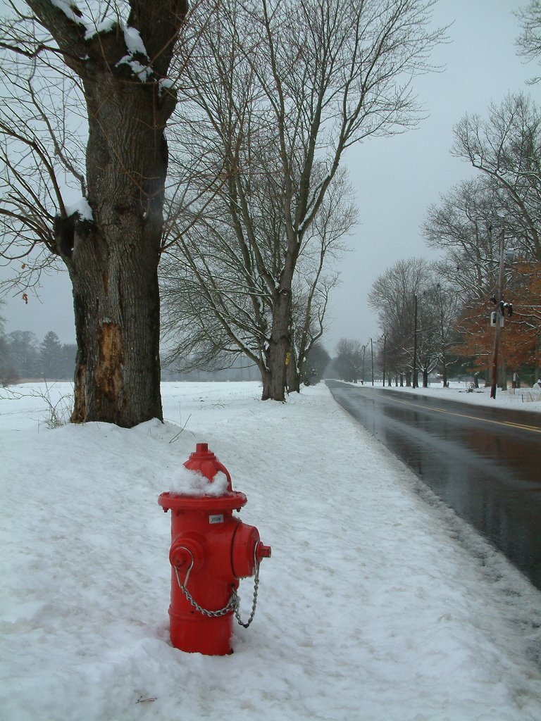 Hidrante Frio e Solitario