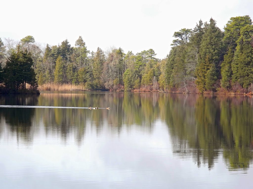Horicon Lake