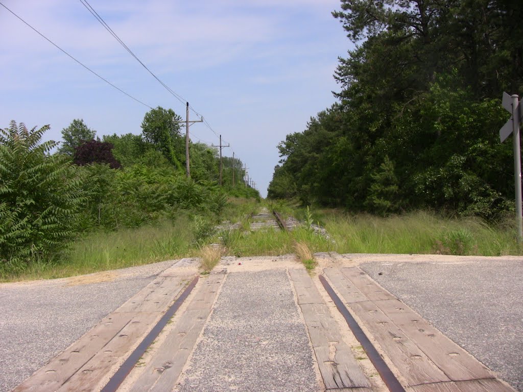 Alexander Ave., Toms River NJ
