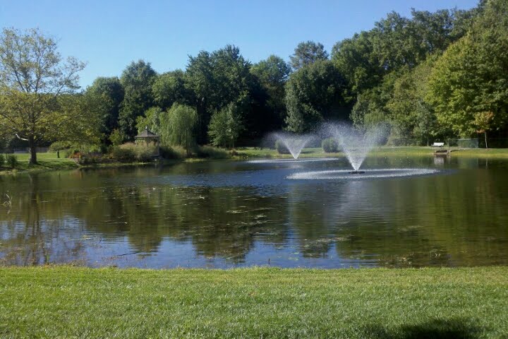 Small pond