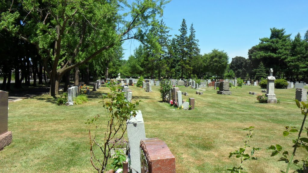 Linden, NJ