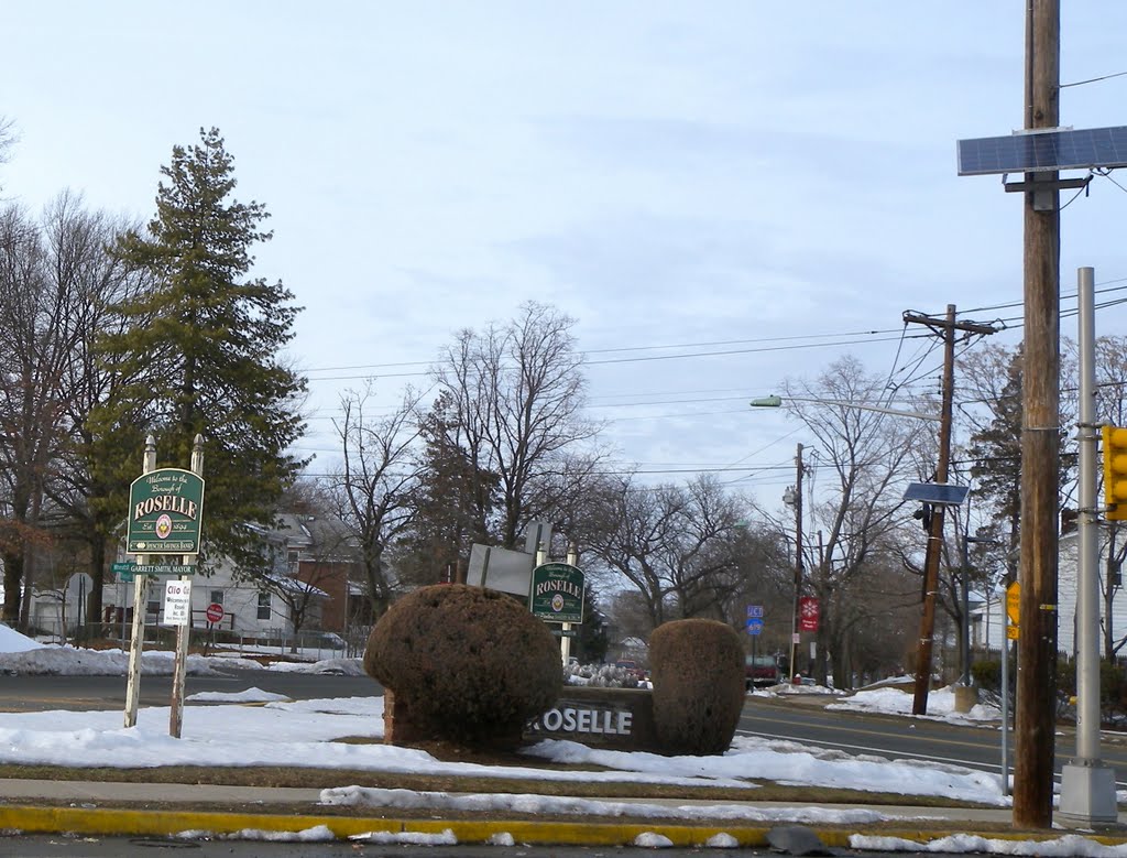 Welcome to Roselle