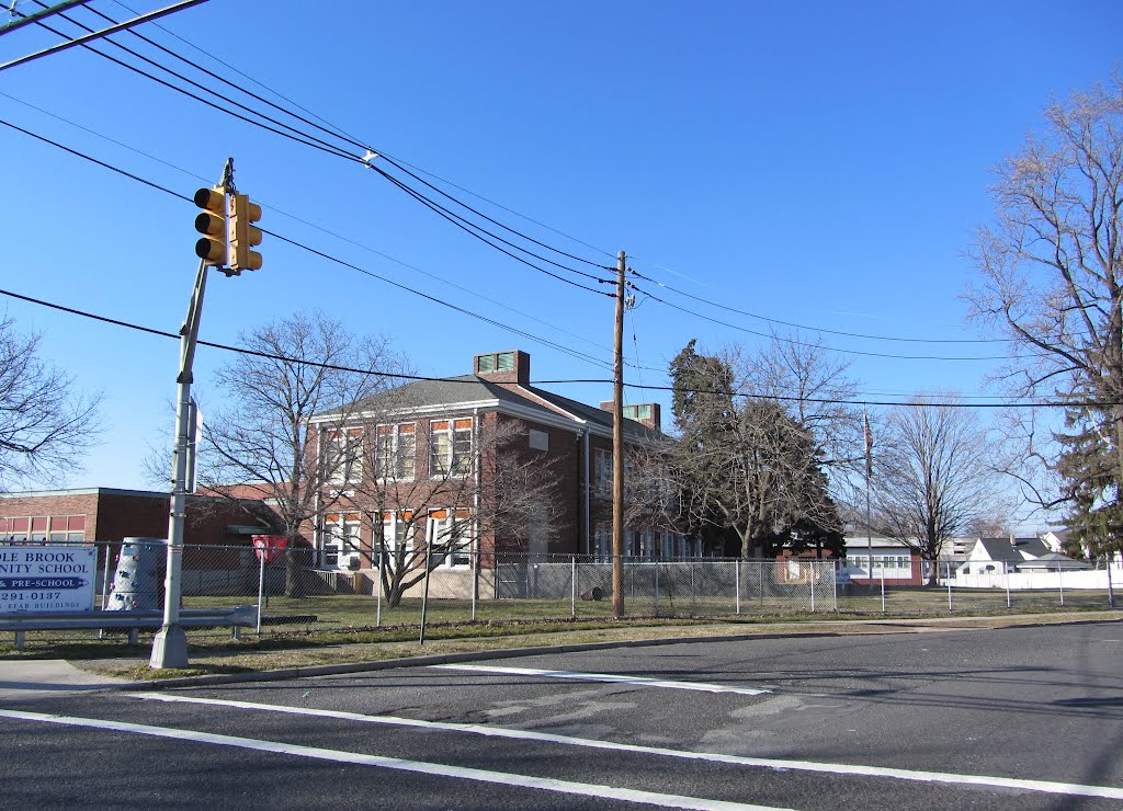 Saddle Brook Community School