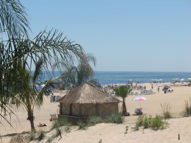 Tiki Bar