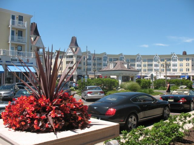 Festival Plaza