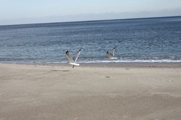 In Synch