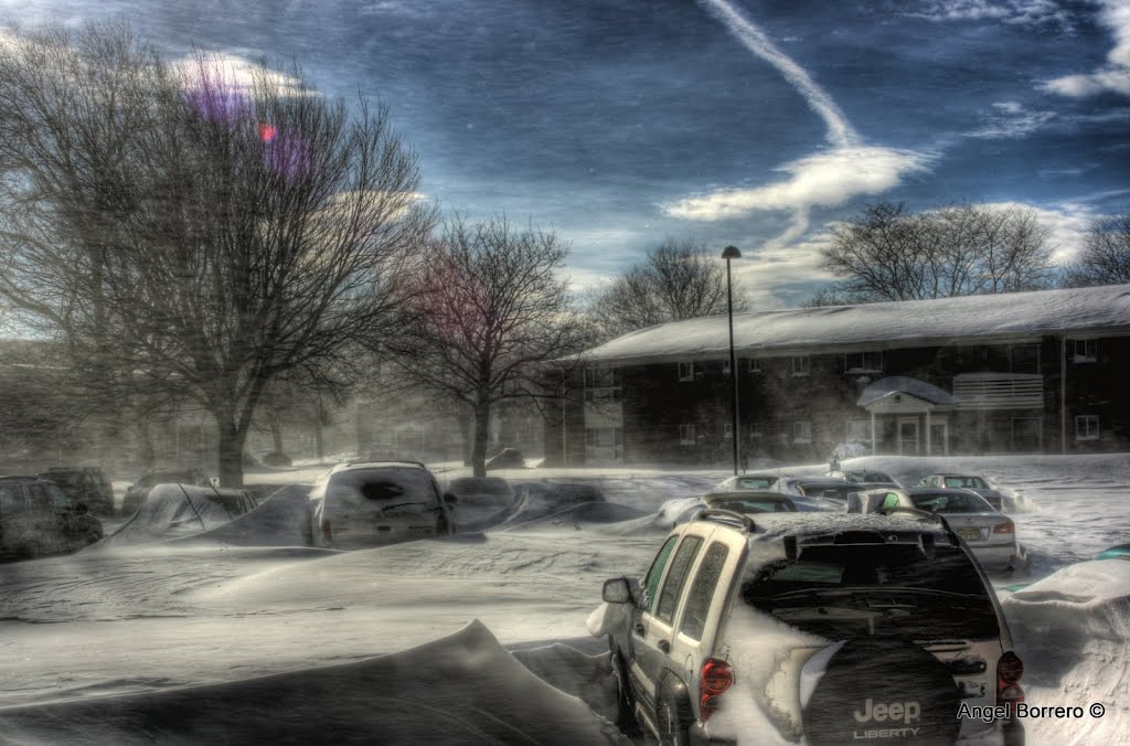 The morning after the blizzard of 2010