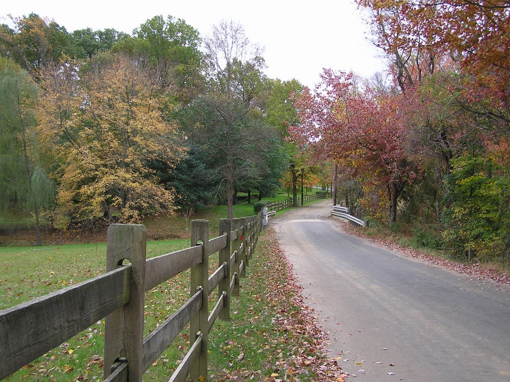 Fall Colors, Igoe Road