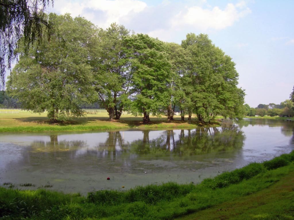 Bucks Mill Park