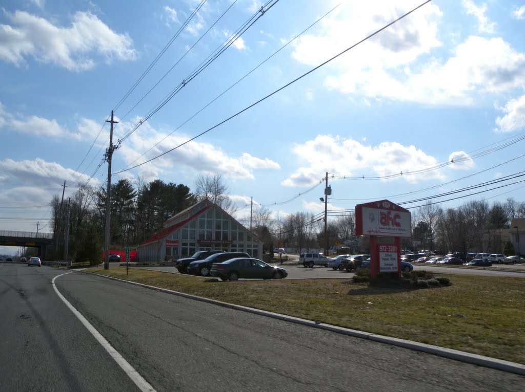 AHC Animal Health Care of Marlboro, LLP