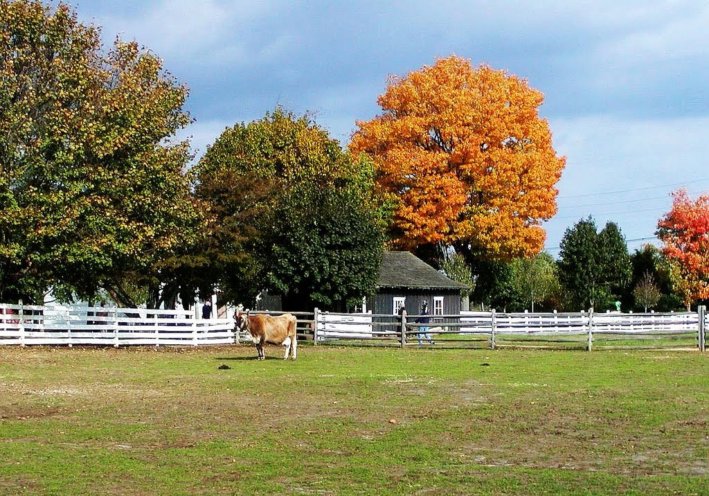 Longstreet Farm