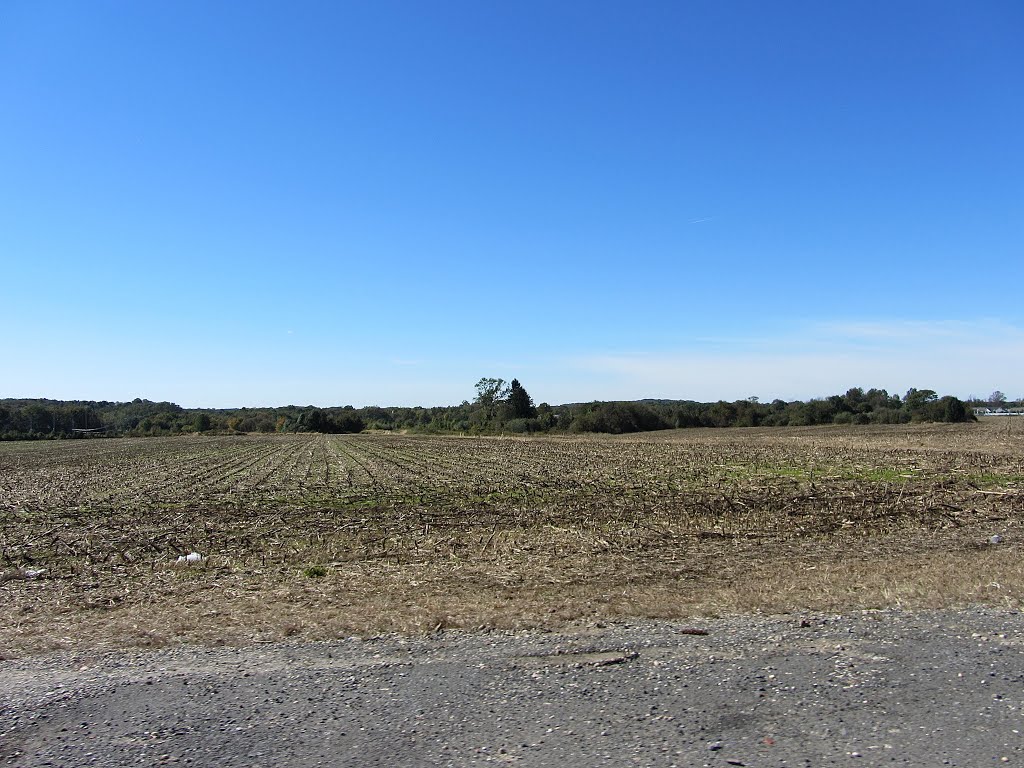 Field