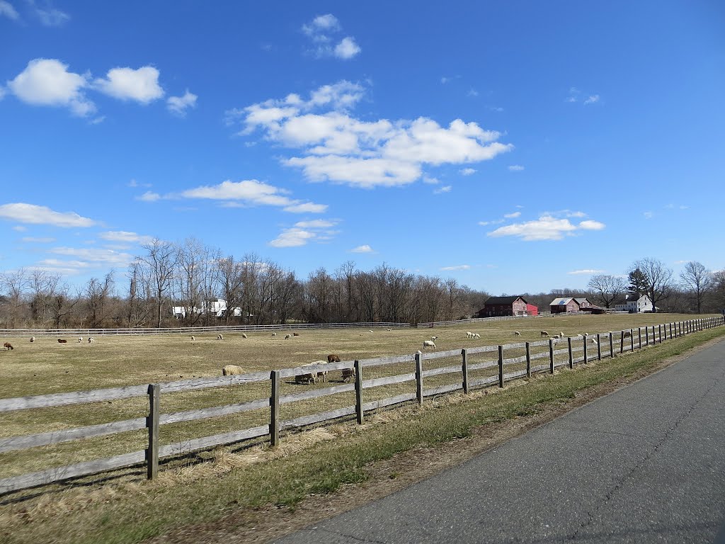 Farm
