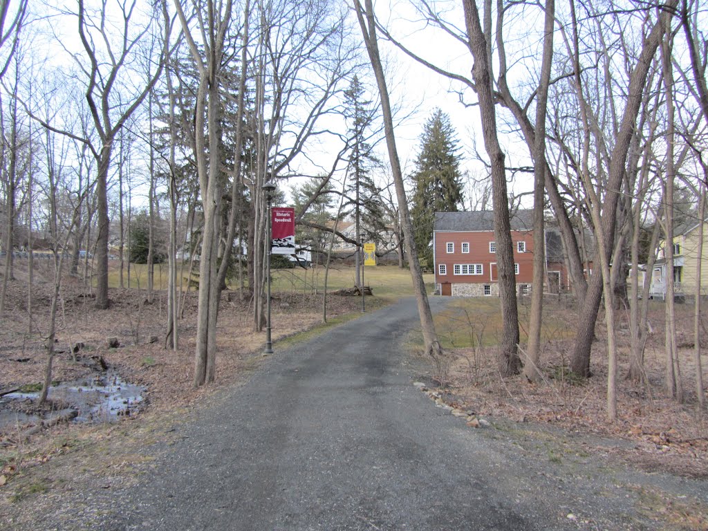Historic Speedwell