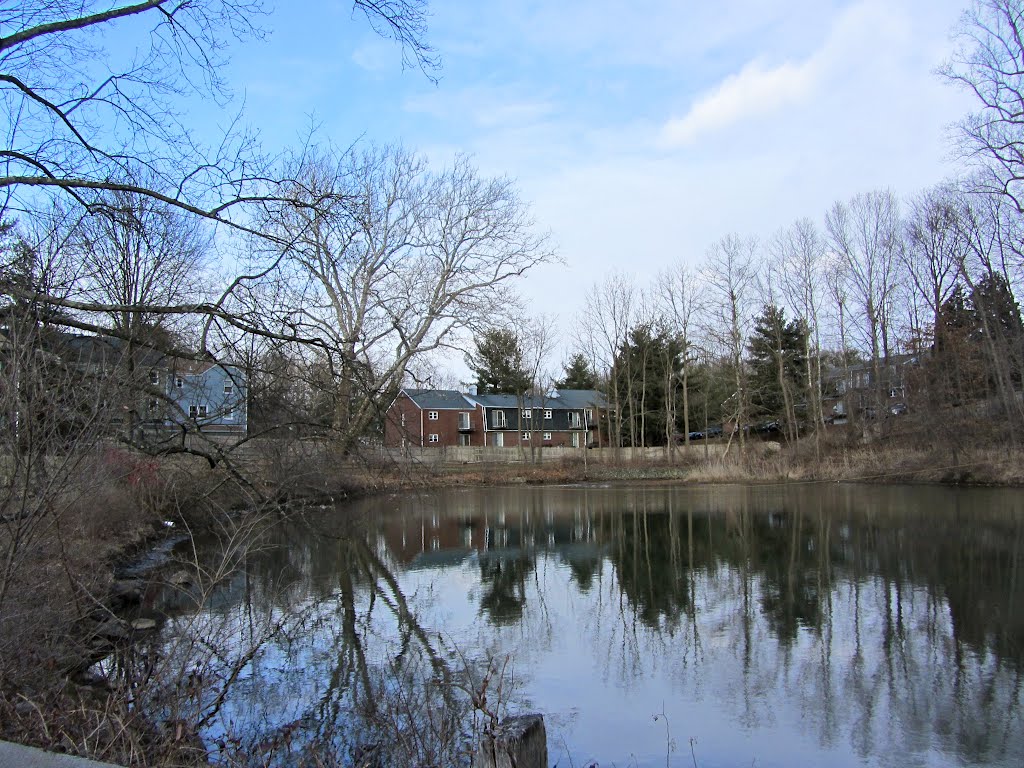 Historic Speedwell