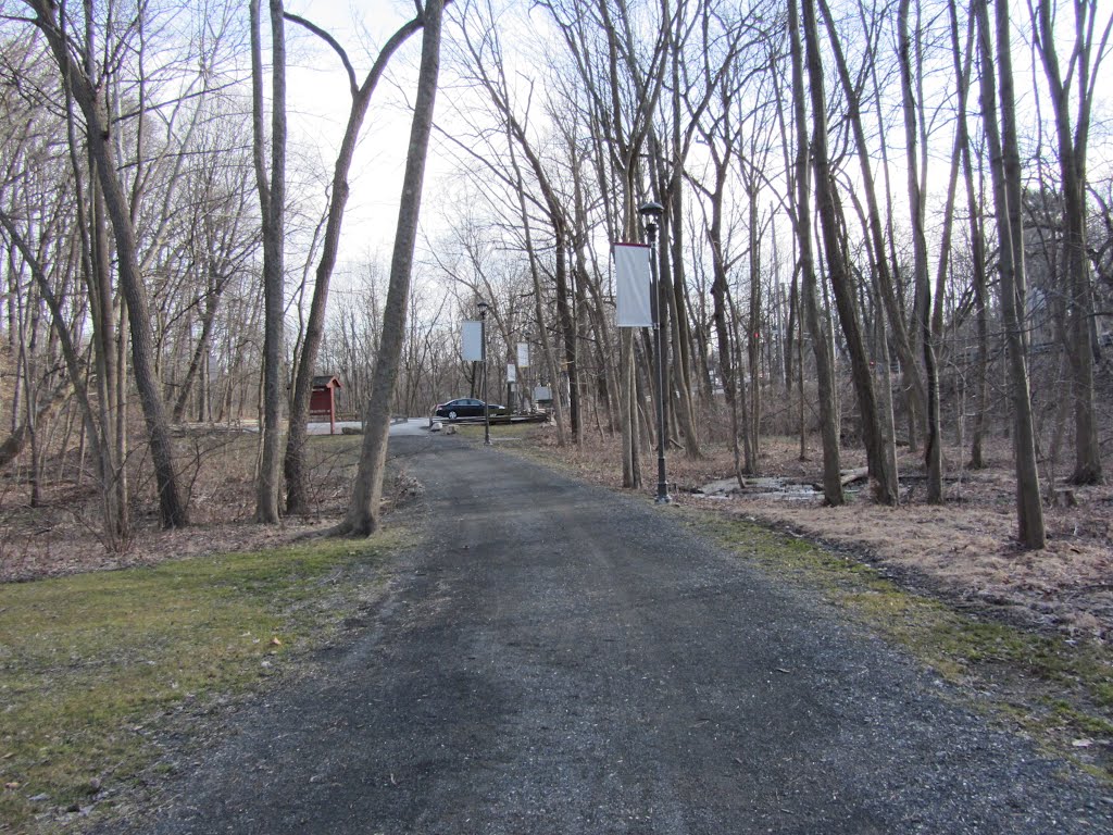 Historic Speedwell