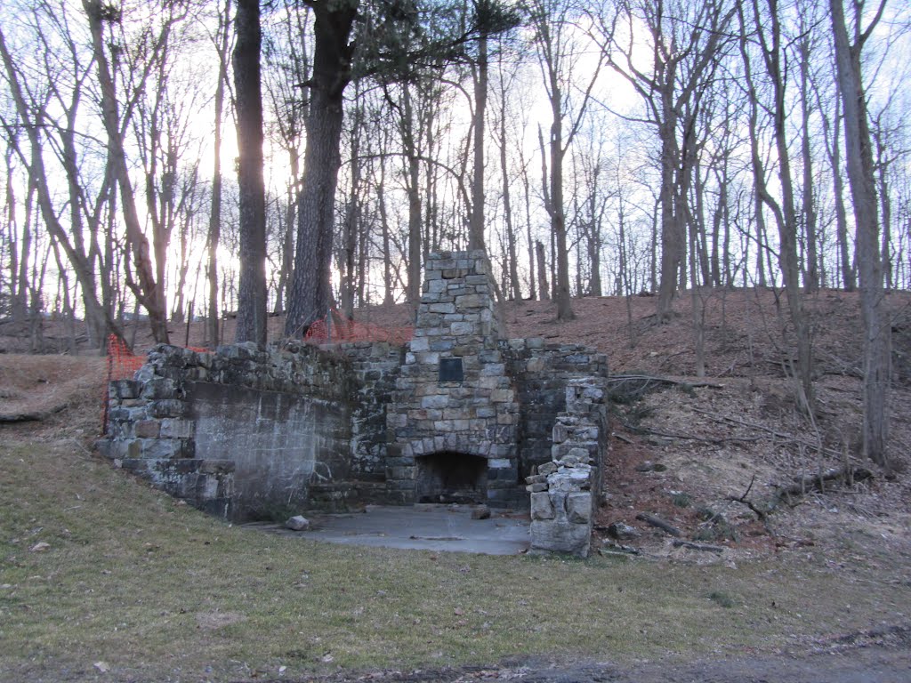 Historic Speedwell