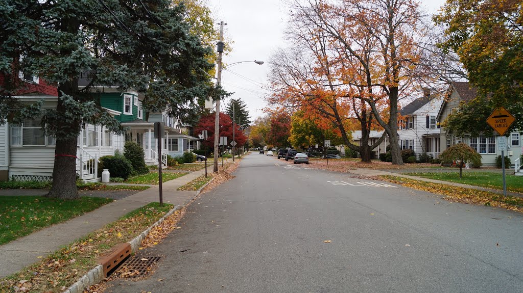 Morris Plains