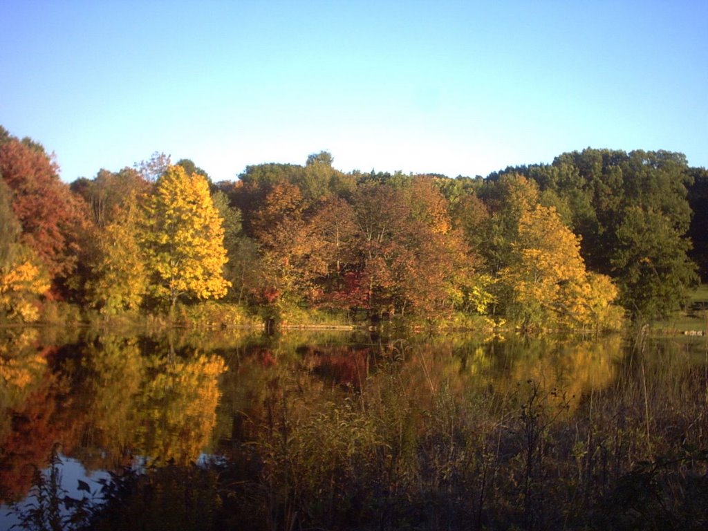 Fall