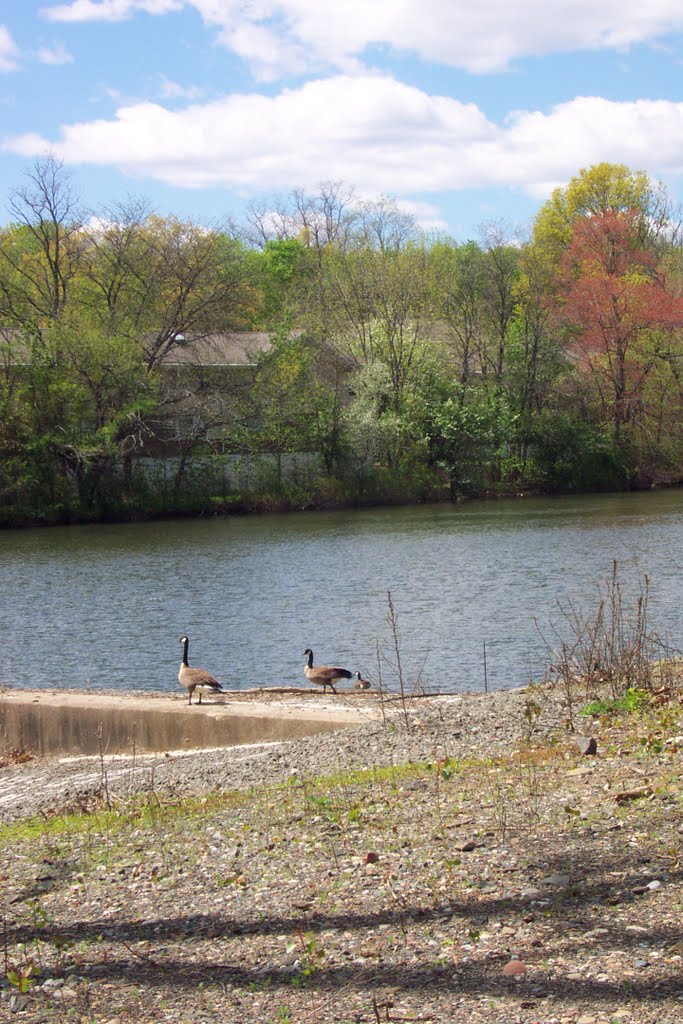 Pocahontas Lake + dam