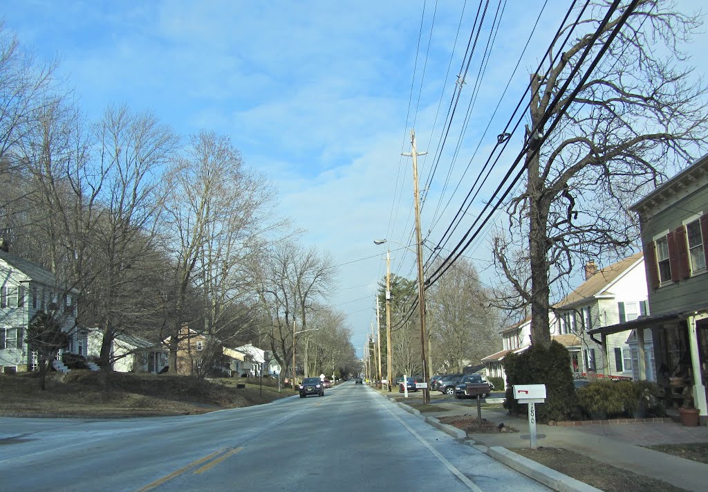 Mount Kemble Ave