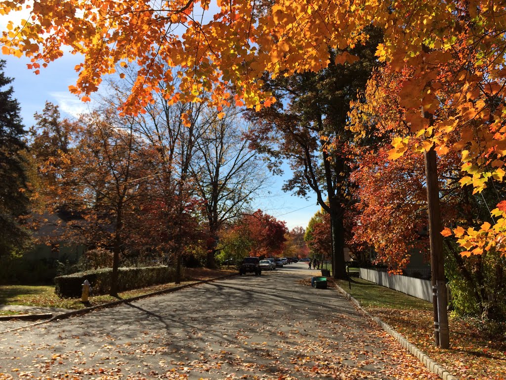 DeHart Pl. looking toward Central Ave. School.