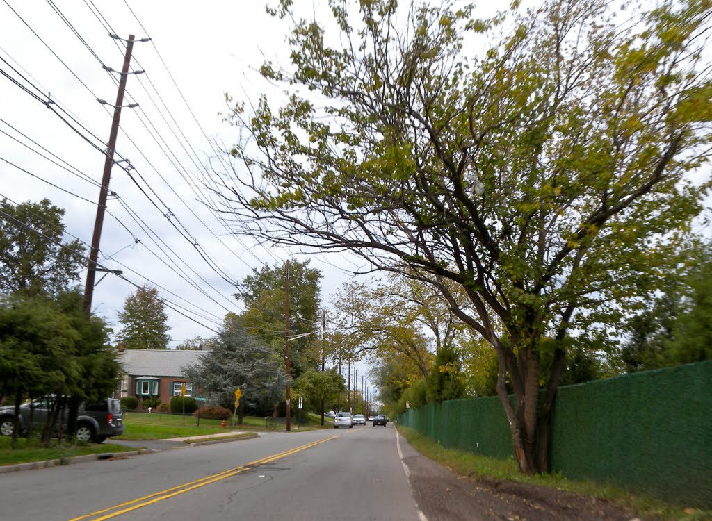 Nutley