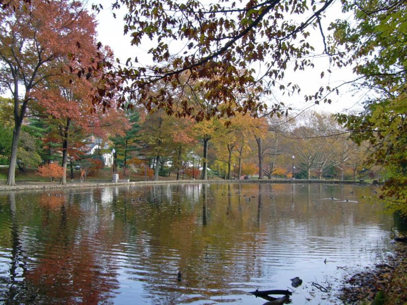 Memorial Park