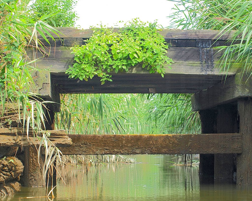 Wooden Bridge over Bellmans Creek, New Jersey Meadowlands