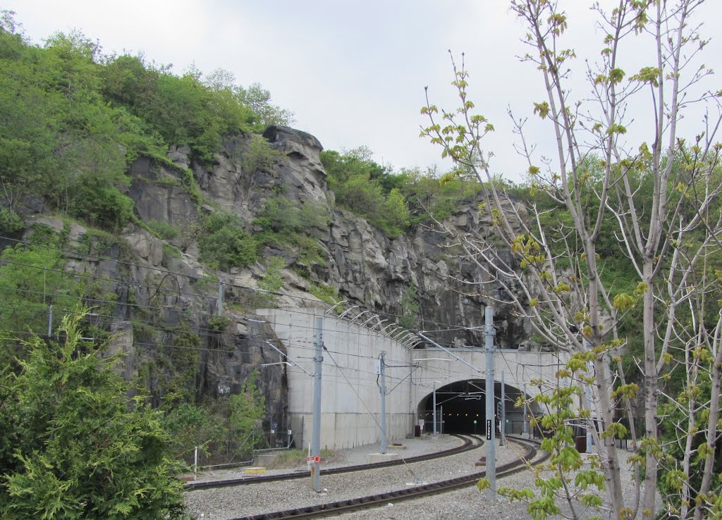Bergenline Tunnel