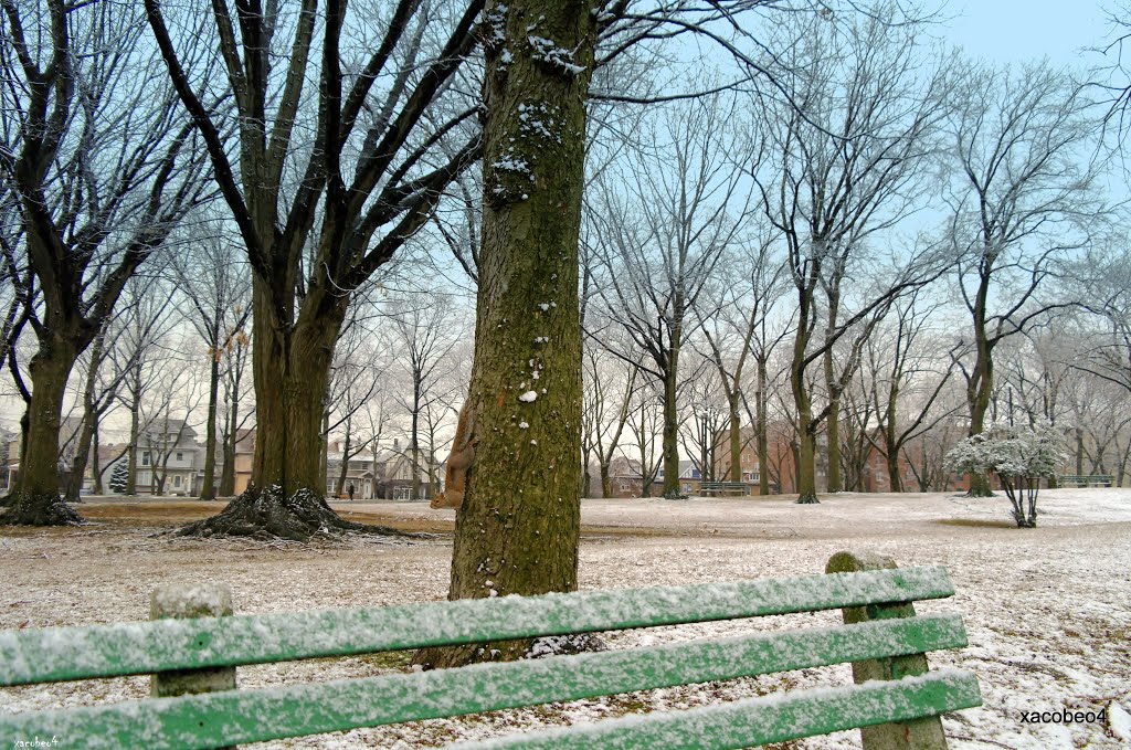 ¡UPPPSSSS!  ? .... and what has happened here, .......... is not spring yet?