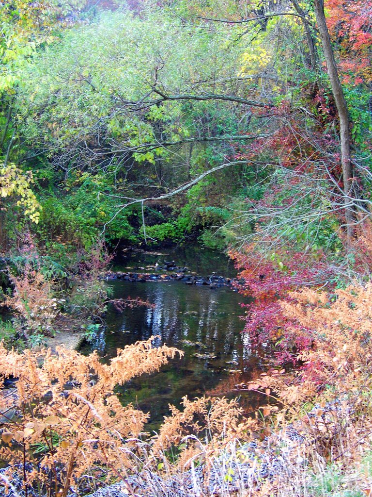 The creek