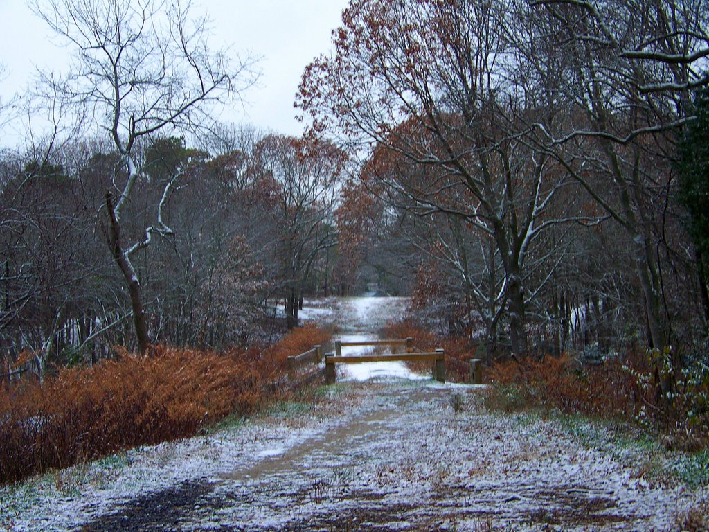 Light dusting of snow
