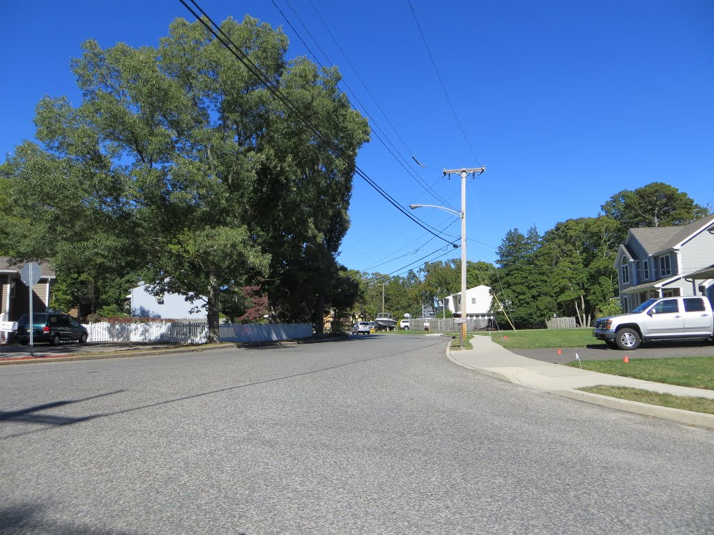 Layton Avenue