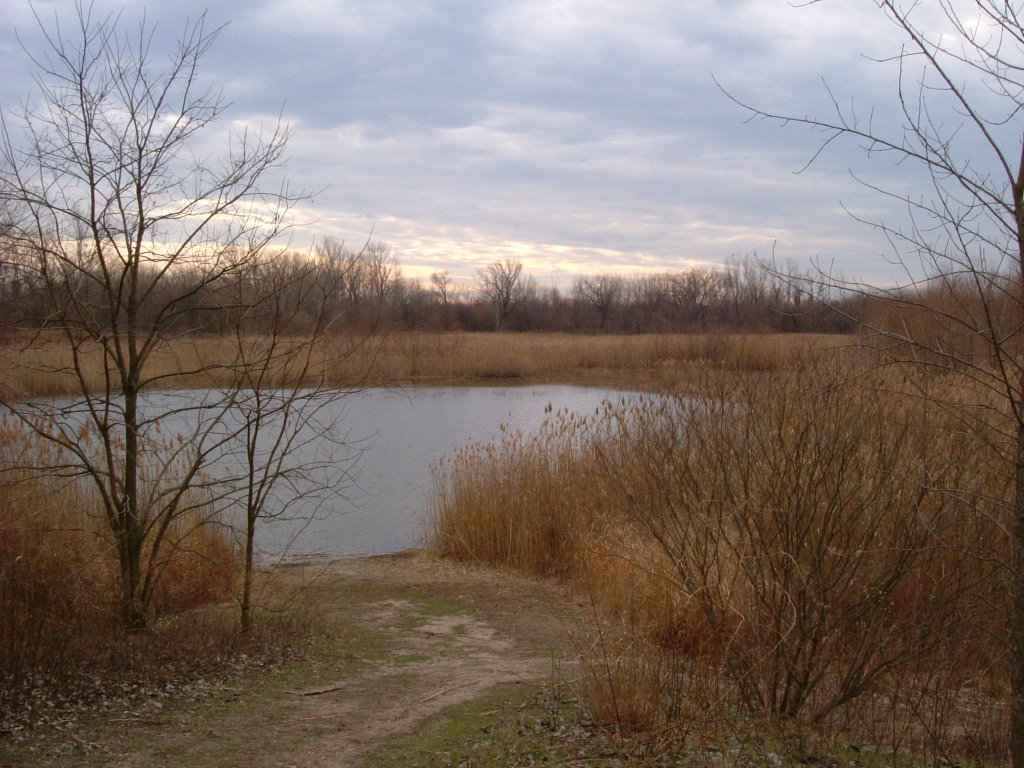 Palmyra Cove