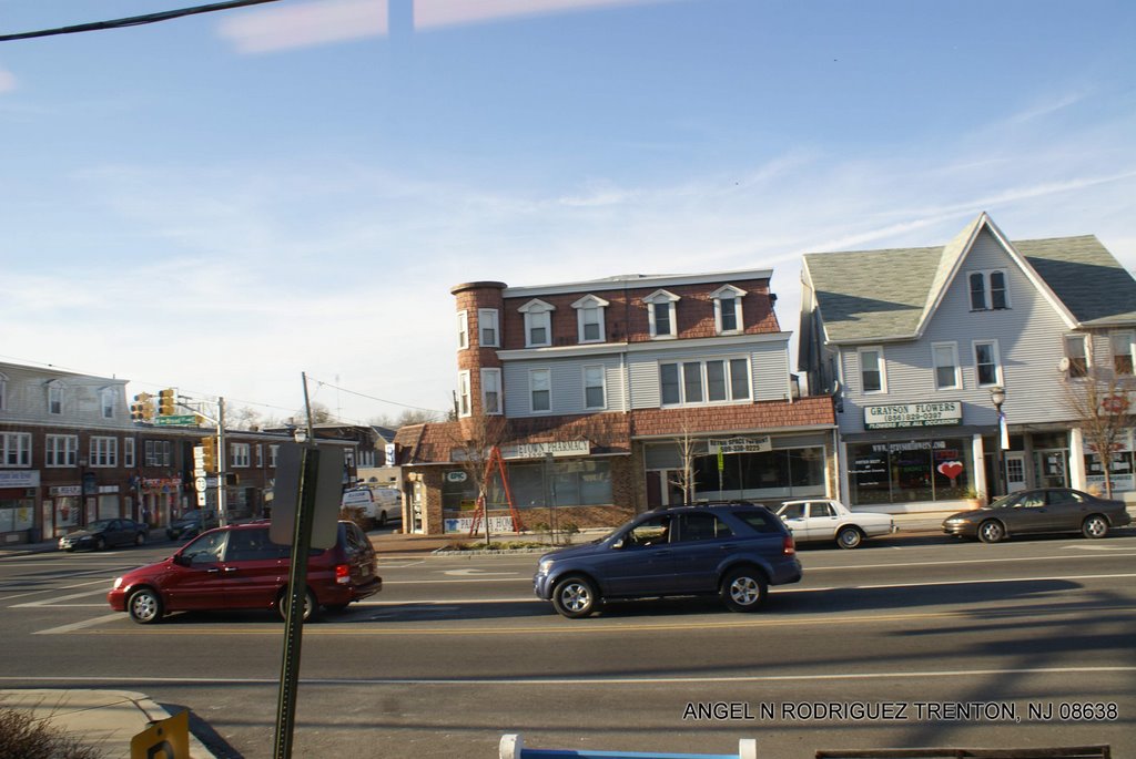 View from the Riverline