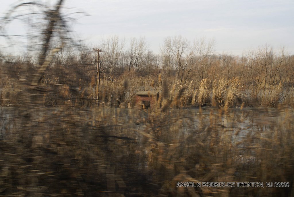 View from the Riverline