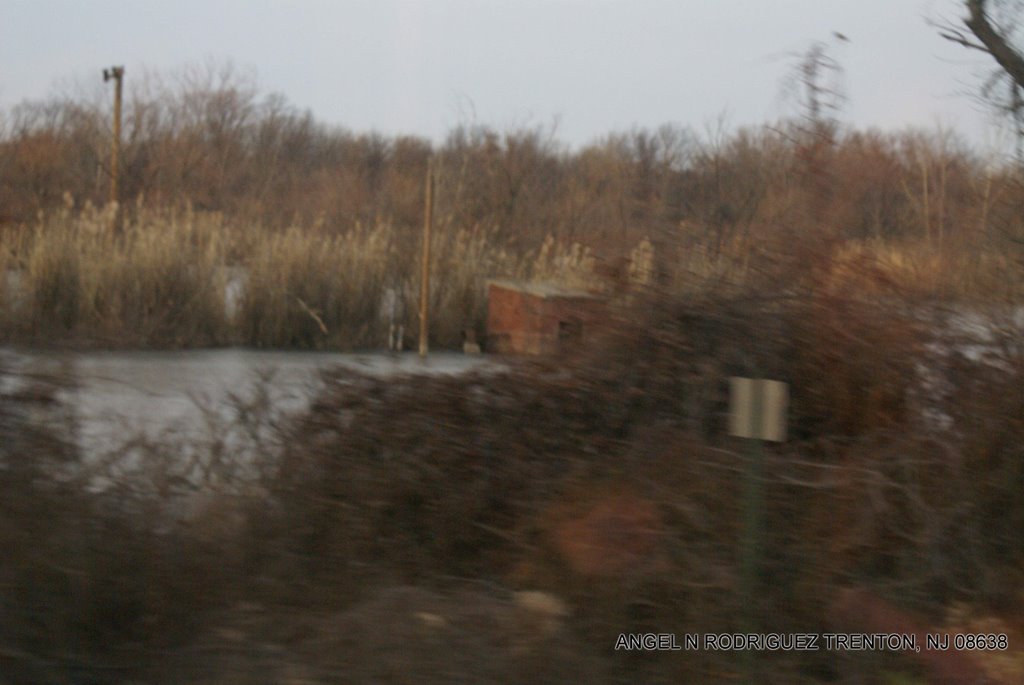 View from the Riverline