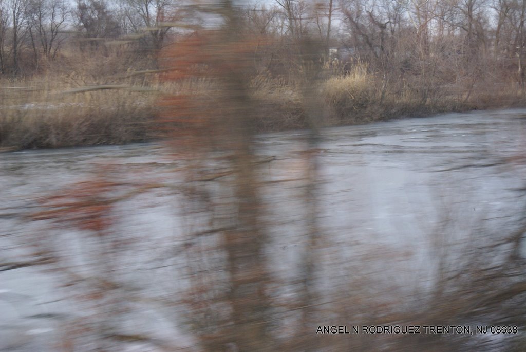 View from the Riverline