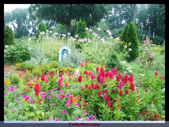 Colorful Garden